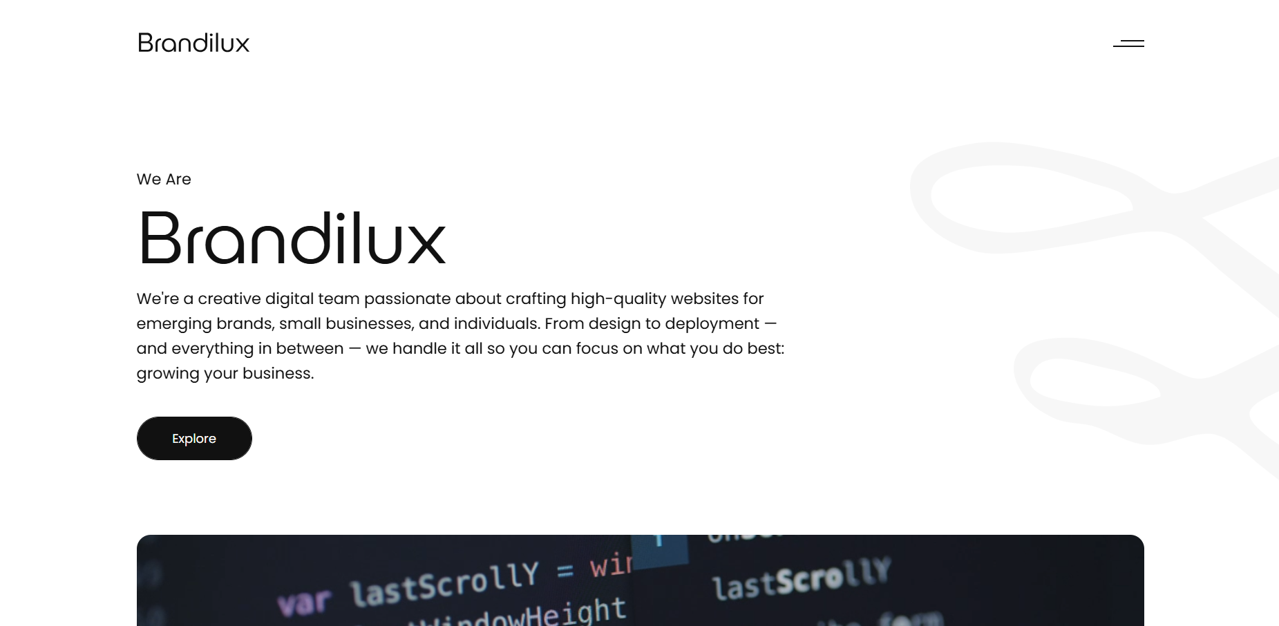 Brandilux website preview